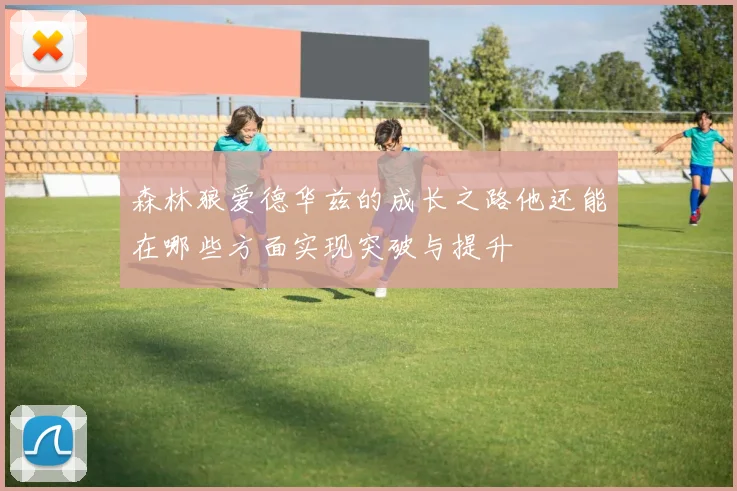 森林狼爱德华兹的成长之路他还能在哪些方面实现突破与提升