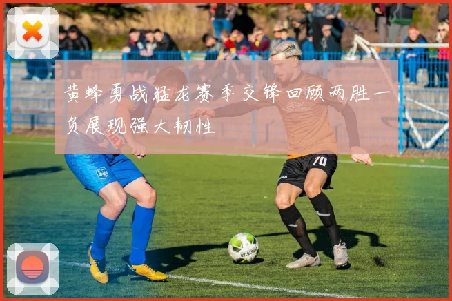 黄蜂勇战猛龙赛季交锋回顾两胜一负展现强大韧性