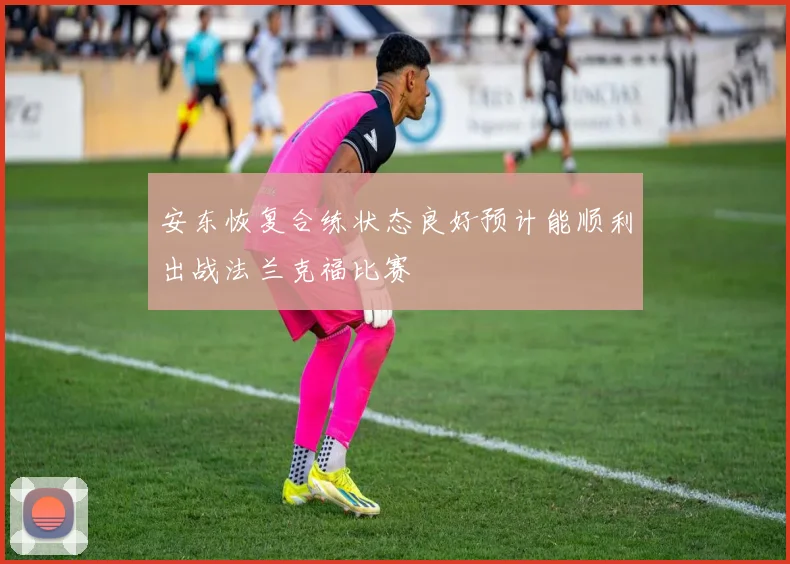 安东恢复合练状态良好预计能顺利出战法兰克福比赛