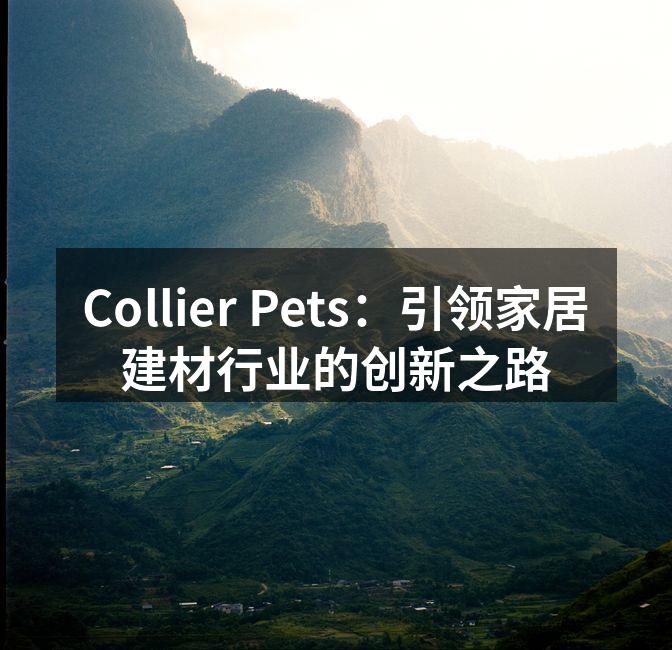 Collier Pets：引领家居建材行业的创新之路